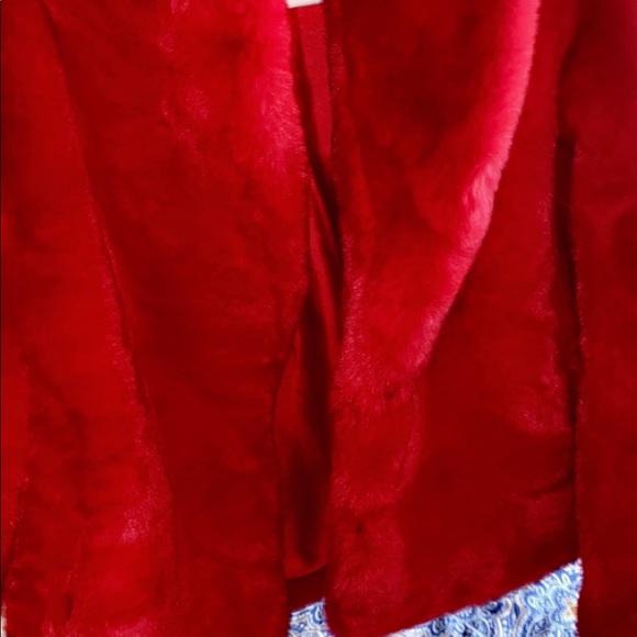 COPY - Fur Coat - Picture 3 of 3